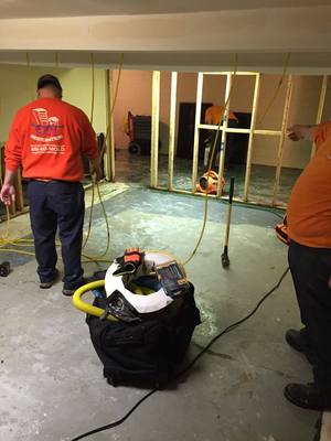 Water Damage Shenorock Team Doing Mold Removal Westchester