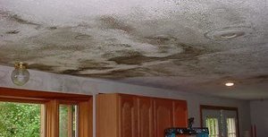 911 Restoration Water Damage Westchester 