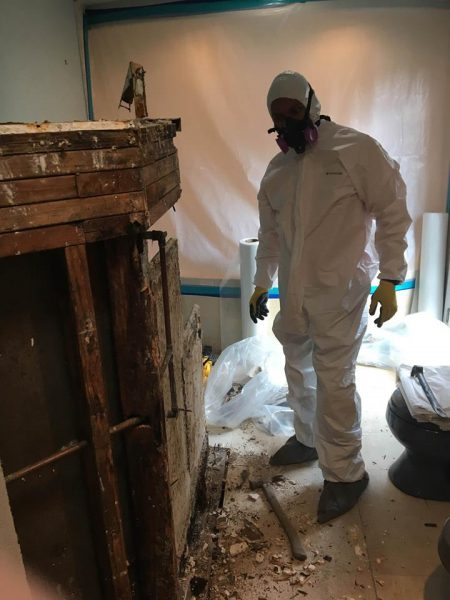 A Technician Conducting Water Damage and Mold Removal