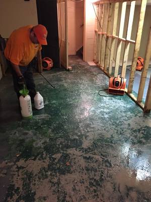 Professional Flood Cleanup in a Flooded Basement