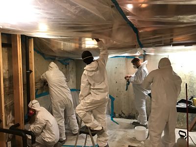 Our Crew Members Conducting Water and Mold Removal in a Basement