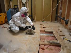 Mold and Water Restoration Westchester